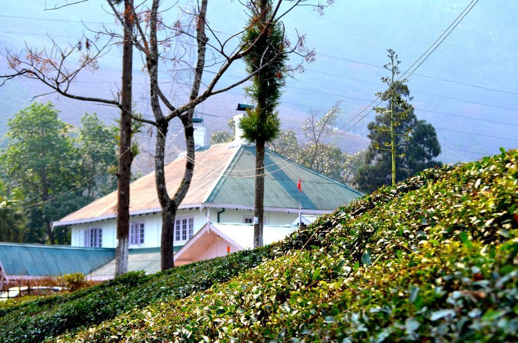 ホテルTumsong Chiabari - The Tea Retreat ダージリン エクステリア 写真